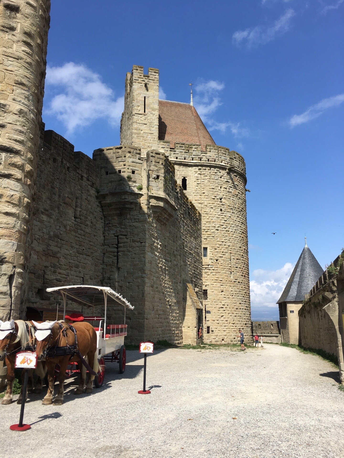 Carcassonne, Castle travel guidebook, Must visit attractions, Nearby recommendation, 1440x1920 HD Phone