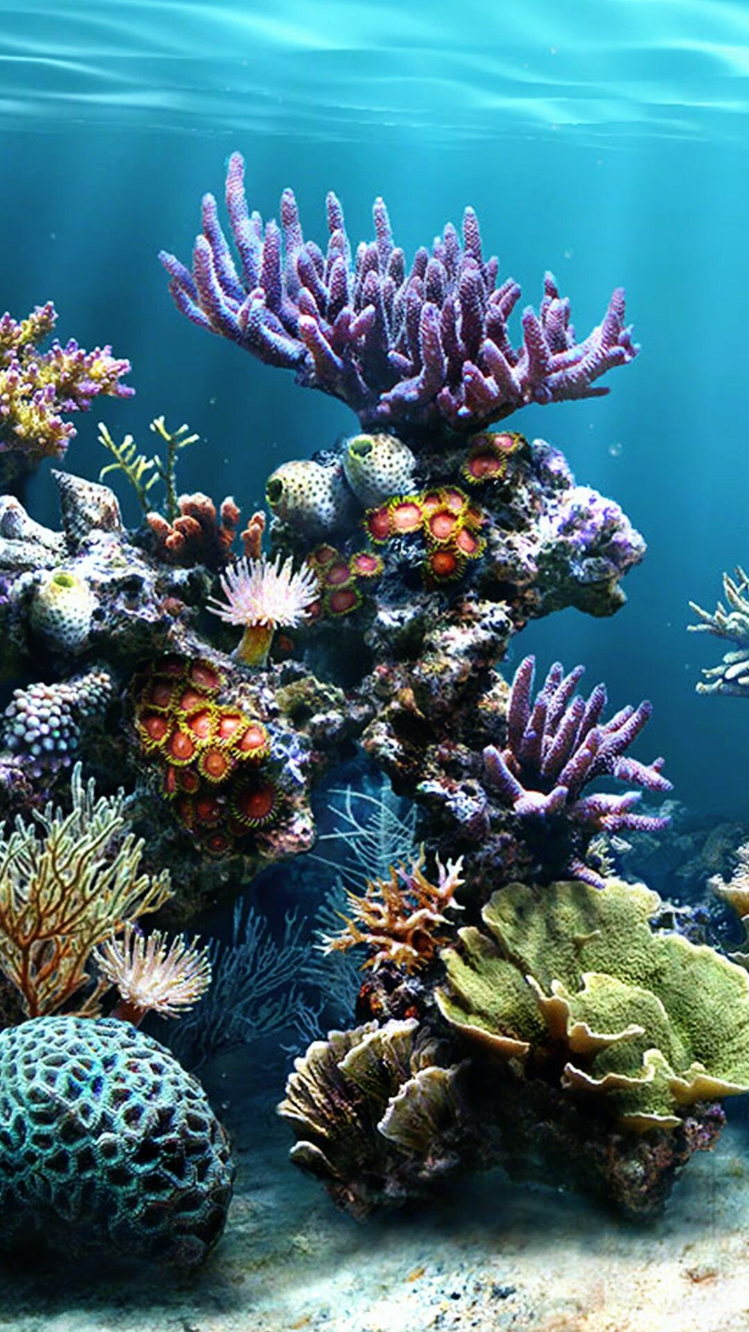 Coral Reef: Over 4,000 species of fish inhabit reefs, Natural environment, Underwater. 1080x1920 Full HD Background.
